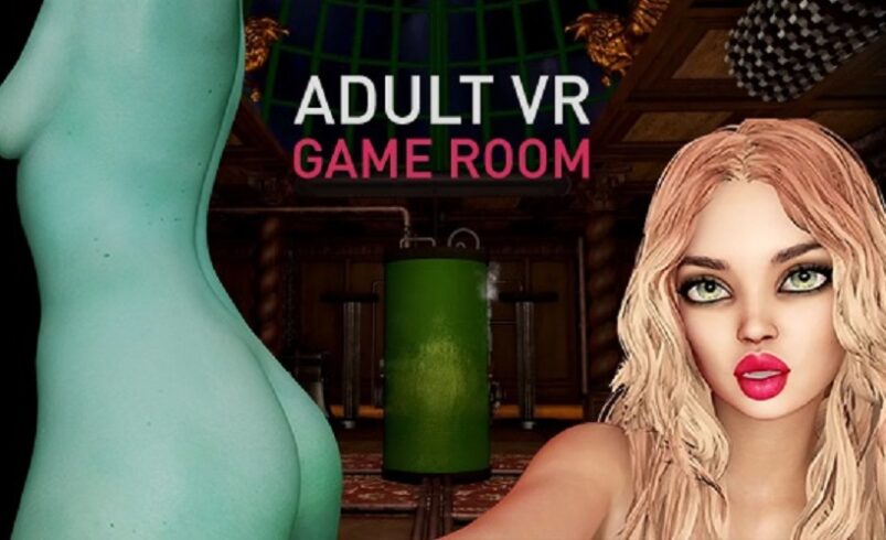 Adult VR Game Room